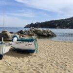 IMG-20250514-WA0040