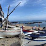 IMG-20250514-WA0042
