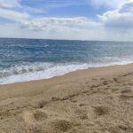 IMG-20250516-WA0002