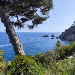 IMG-20250519-WA0003