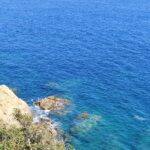 IMG-20250519-WA0005
