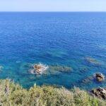 IMG-20250519-WA0006