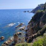 IMG-20250519-WA0007