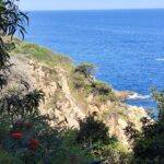 IMG-20250519-WA0008