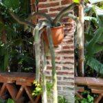 IMG-20250519-WA0013