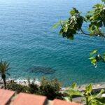 IMG-20250519-WA0024