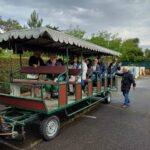 IMG-20250519-WA0031