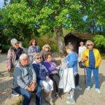 IMG-20250520-WA0001