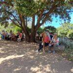 IMG-20260518-WA0030